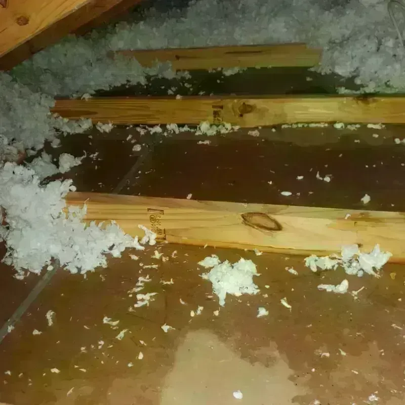 Attic Water Damage in Sturtevant, WI